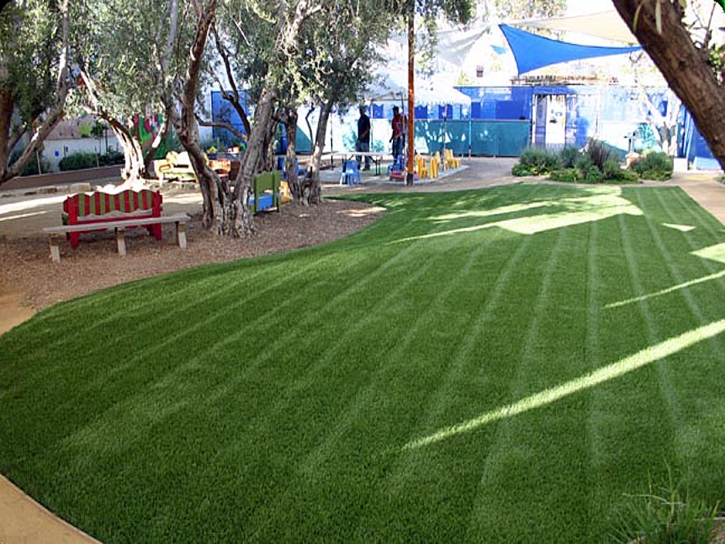 Turf Grass Golden, New Mexico Landscaping Business, Commercial Landscape