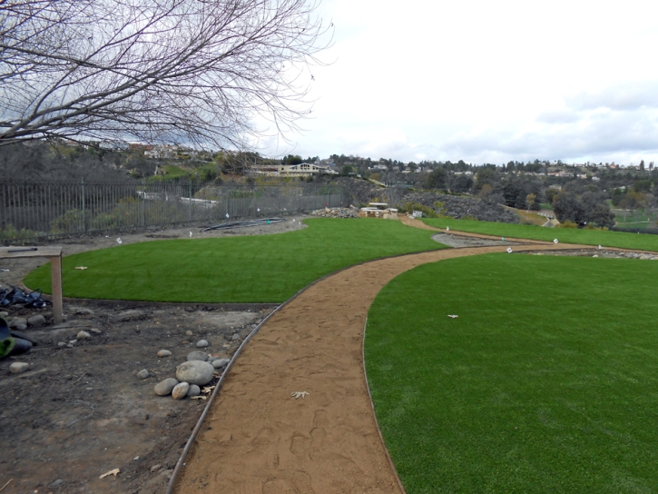 Turf Grass Oasis, New Mexico High School Sports