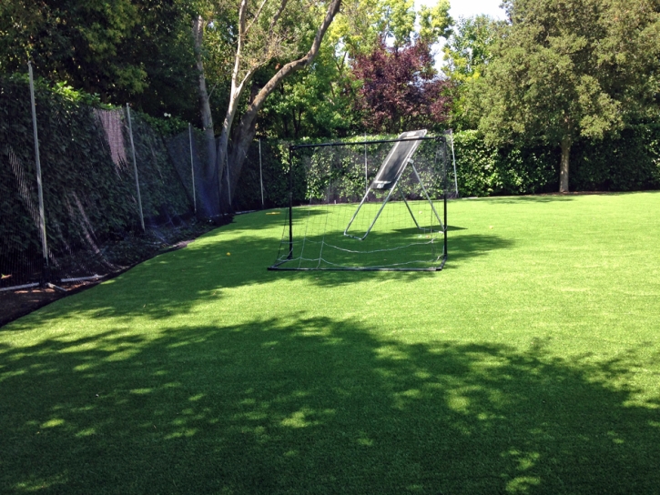 Turf Grass San Lorenzo, New Mexico Home And Garden, Backyard Designs