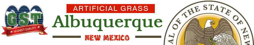 Artificial Grass Albuquerque, New Mexico